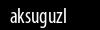 Biztonsági kód