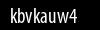 Biztonsági kód