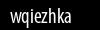 Biztonsági kód
