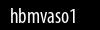 Biztonsági kód