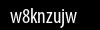 Biztonsági kód
