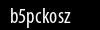 Biztonsági kód