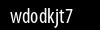 Biztonsági kód