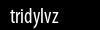 Biztonsági kód