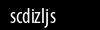 Biztonsági kód