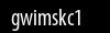 Biztonsági kód