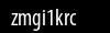 Biztonsági kód