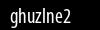 Biztonsági kód
