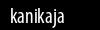 Biztonsági kód