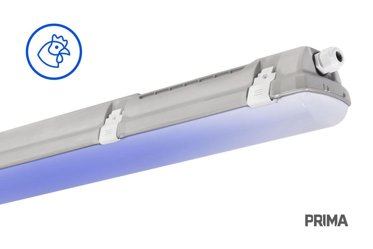 TREV 107004 PRIMA BLUE LED LÁMPATEST 38,5W 6050LM 4000K IP66/IP69 IK06 1175MM HACCP+AMMÓNIAÁLLÓ 5 ÉV