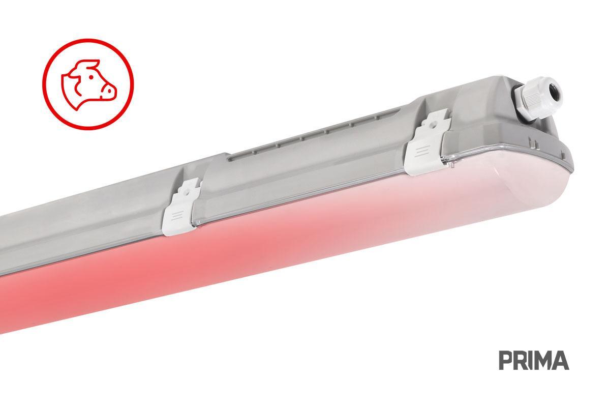 TREV 107003 PRIMA RED LED LÁMPATEST 47,4W 7460LM 4000K IP66/IP69 IK06 1455MM HACCP+AMMÓNIAÁLLÓ 5 ÉV