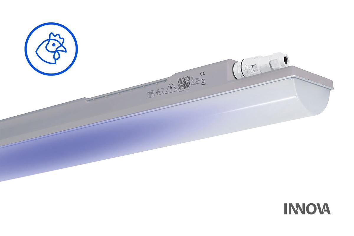 TREV 107010 INNOVA BLUE LED LÁMPATEST 38,5W 6050LM 4000K IP66/IP69 IK10 1175MM HACCP+AMMÓNIAÁLLÓ 5ÉV