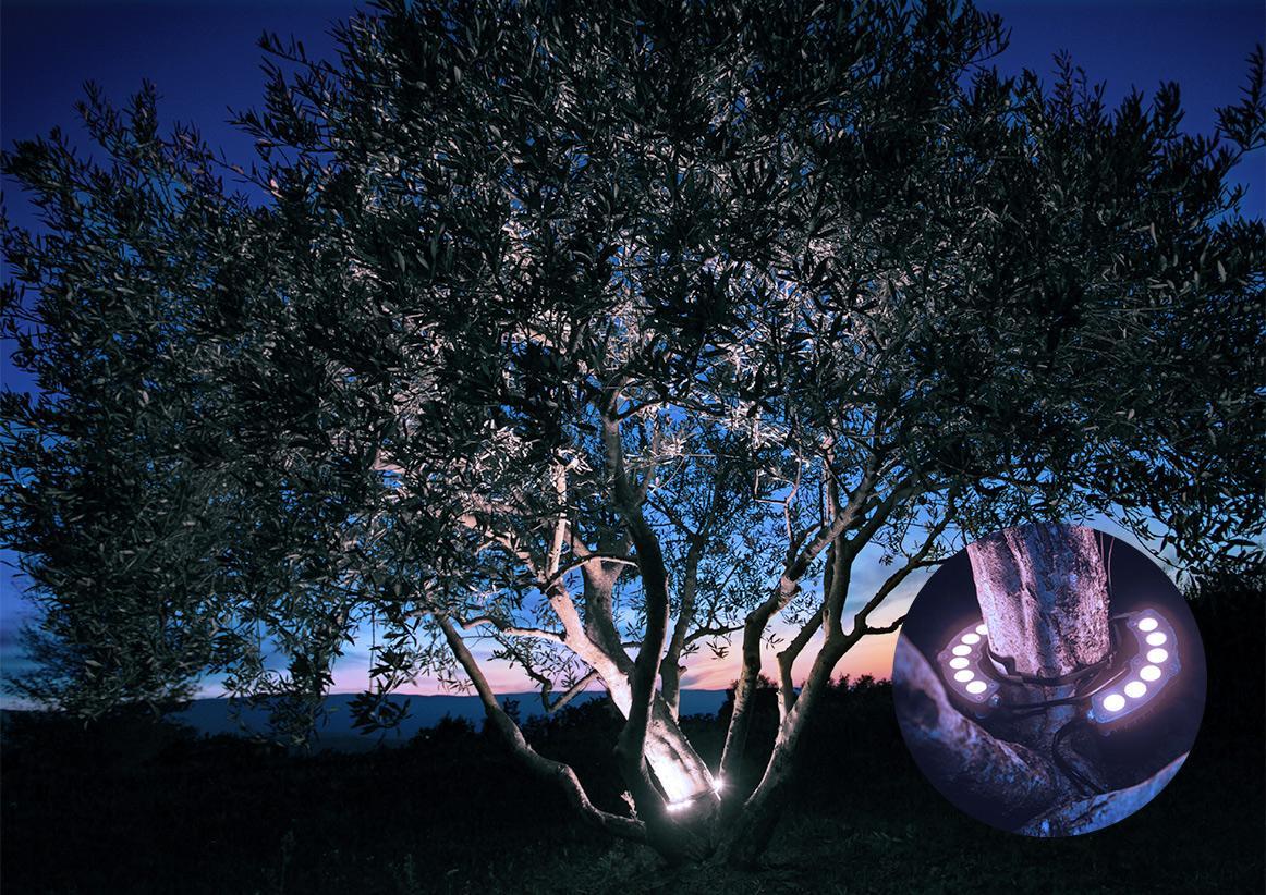 BL PRJA LED PROJEKTOR SZETT LEKEREKÍTETT 24V 2x6W HIDEGFEHÉR IP66