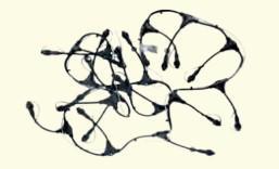 BL FY023-B+ CSATLAKOZÓ OCTOPLUSHOZ 230V 16 ALJZATTAL MAX. 690W IP66 2x1,6M FEKETE