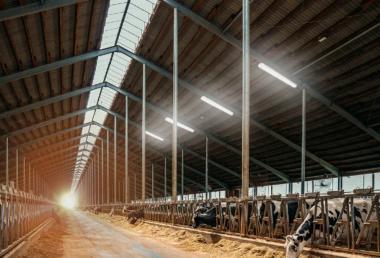 OP 531000031700 LED LÁMPATEST 45W 7200LM 4000K 120° IP67/IP69K 1250MM DALI HACCP 5 ÉV