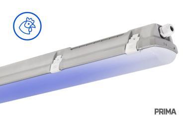 TREV 107004 PRIMA BLUE LED LÁMPATEST 38,5W 6050LM 4000K IP66/IP69 IK06 1175MM HACCP+AMMÓNIAÁLLÓ 5 ÉV