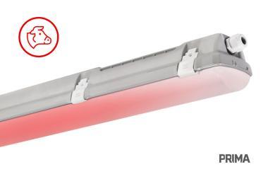 TREV 107002 PRIMA RED LED LÁMPATEST 38,5W 6050LM 4000K IP66/IP69 IK06 1175MM HACCP+AMMÓNIAÁLLÓ 5 ÉV