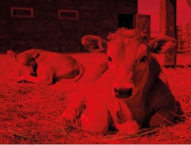 TREV 107009 INNOVA RED LED LÁMPATEST 47,4W 7460LM 4000K IP66/IP69 IK10 1455MM HACCP+AMMÓNIAÁLLÓ 5 ÉV